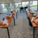 Essential Skills for Critical Moments